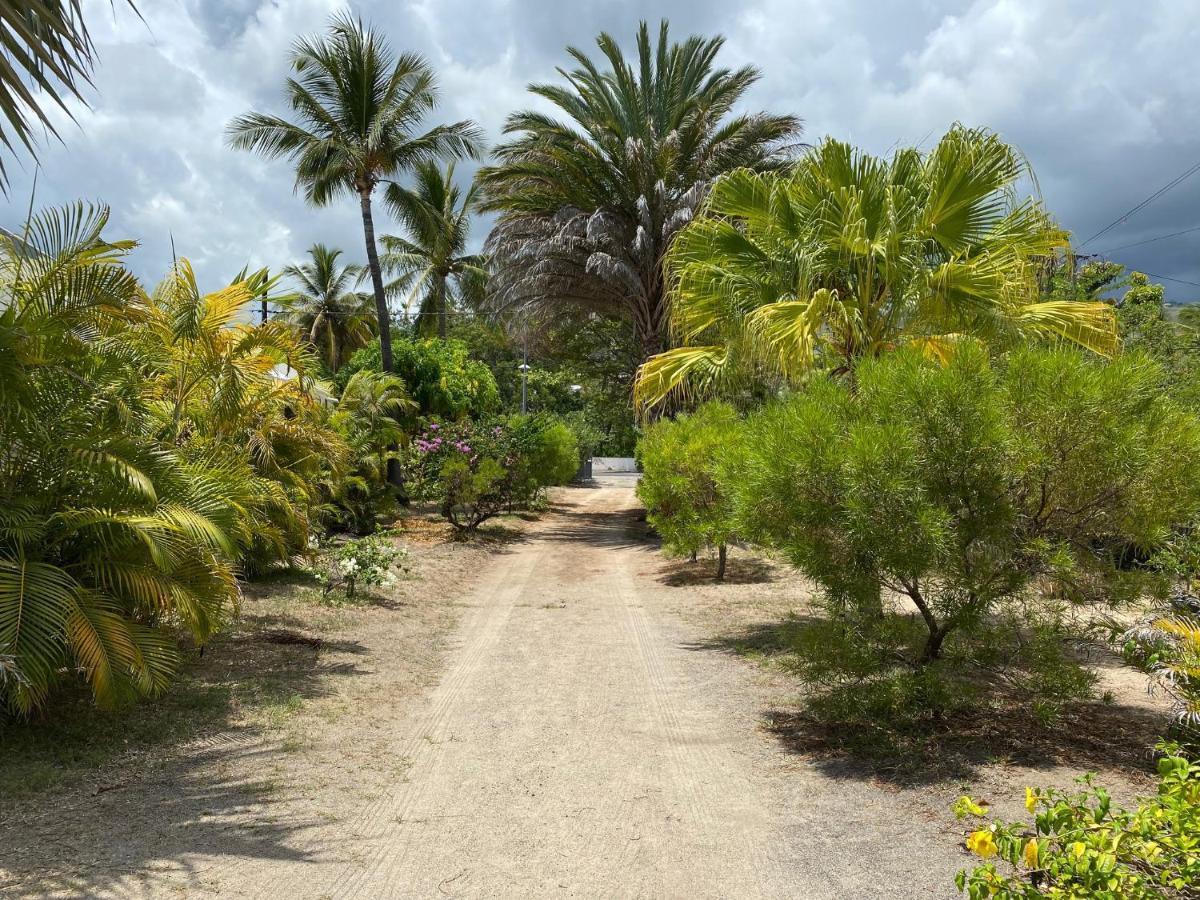 Villa & Bungalow 'Coco Des Sables' Les Pieds Dans L'Eau La Saline Le Bains Buitenkant foto