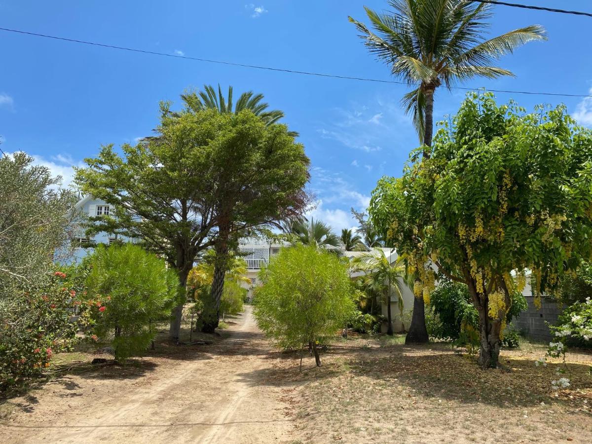 Villa & Bungalow 'Coco Des Sables' Les Pieds Dans L'Eau La Saline Le Bains Buitenkant foto